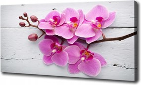 Vászonkép Orchidea a fán 120x60cm