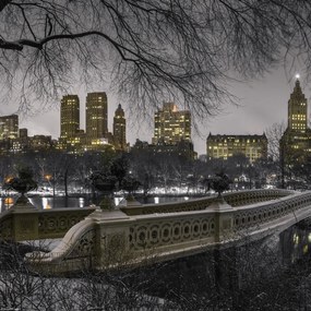 Poszter 30x30cm Központi park Manhattan panorámával, Assaf Frank