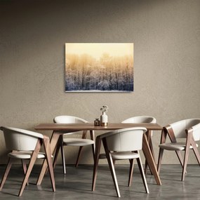 Fagyos erdő képe (üvegen) (70x50 cm)