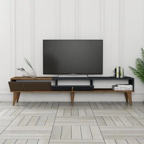 TV szekrény Milan Alt - Diós, Antracit