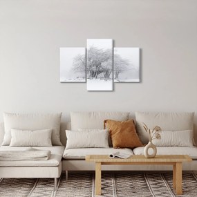 Kép - fehér tél (90x60 cm)