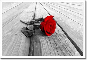 Poszterek keretben 60x40 Vörös rózsa a deszkákon