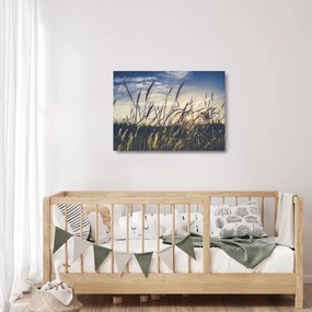 Réti virágok képe (üvegen) (70x50 cm)