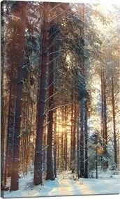 Vászonkép Erdő Tél Hó Fehér Természet 60x100 cm