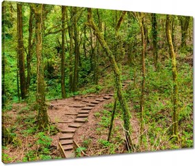 Vászonkép 80x60 Gyalogtúra