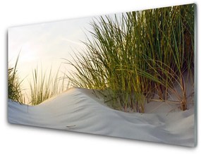 Akrilkép Sand Grass Landscape 120x60 cm 2 fogas