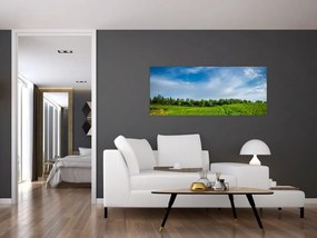 Rét képe (120x50 cm)