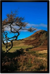 Poszterek keretben 40x60 Elpusztíthatatlan fa