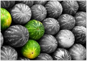 Poszterek 100x70 Három színes görögdinnye