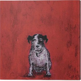 Vászonkép Sam Toft - Small Dog