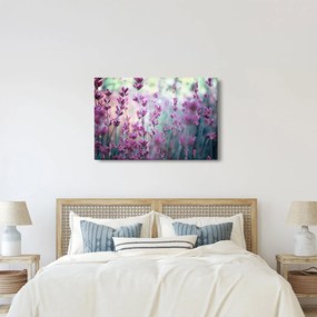 Kép - Levendula (90x60 cm)