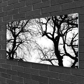 Akrilkép Fák Természet fekete-fehér 125x50 cm