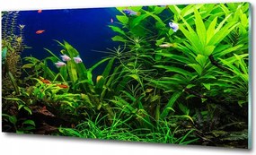 Fotó üvegfestmény Santorini Görögország 125x50