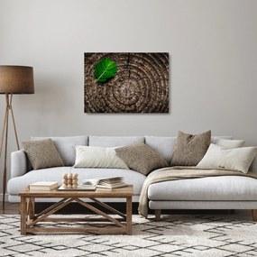 Kép egy levél a fatörzsön (üvegen) (70x50 cm)