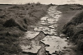 Poszter 91,5x60cm Memóriaút a dűnék között