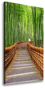 Vászon nyomtatás Bambusz erdő ocv-81607376