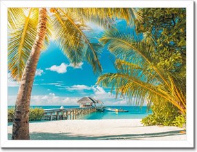 Poszterek keretben 40x30 Trópusok Tájkép Pálma