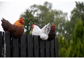 Poligyanta kerti szobor Hen – Esschert Design