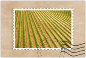 Poszterek 90x60 Zöld Provence