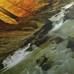 Kép - Erdő (70x50 cm)