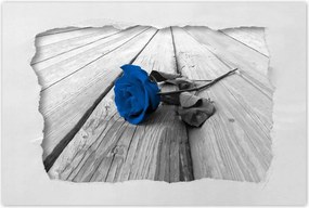 Poszterek 60x40 Kék rózsa a hídon