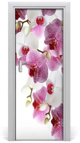 Fotótapéta ajtóra Orchidea 85x205 cm