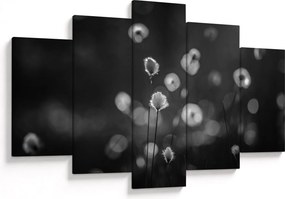 Kép - Pamutfű a réten (150x105 cm)