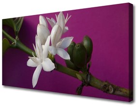 Canvas kép Flowers Nature növények hajtásainak 100x50 cm