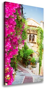 Vászonfotó Provence franciaország ocv-114973213
