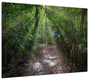 Kép - Napsugarak a dzsungelben (üvegen) (70x50 cm)