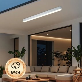 Brilagi - LED fürdőszobai mennyezeti lámpa SLEEKLINE LED/40W/230V ezüstszínű IP44
