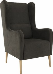 Kényelmes fotel, barna/bükk, BREDLY