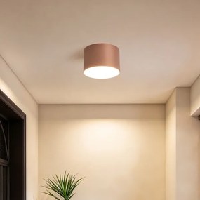 BRILAGI - Fürdőszobai mennyezeti lámpatest FORIS LED/9W/230V átm. 9 cm bronzszínű IP44