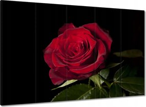 Vászonkép 100x70 Gyönyörű rózsa