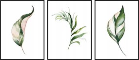 Triptichon Poszterek 50x70 sorozat 3 db-os kép szett levelek