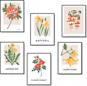 Poszterek A4 Szett 6 db-os Képek A Konyhába Virágok