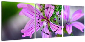 Részletes virágkép (órával) (90x30 cm)