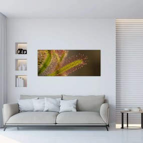 A növény képe (120x50 cm)