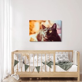 Fekete macska képe (90x60 cm)