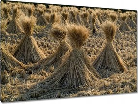 Festmények 120x80 Csontváry Kosztka Tivadar