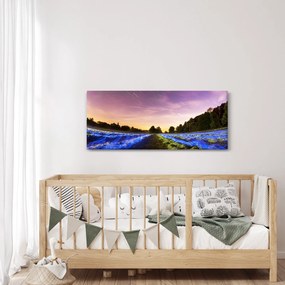 Színes mező képe (120x50 cm)