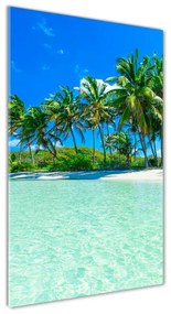 Üvegkép nyomtatás Trópusi tengerpart osv-99365379