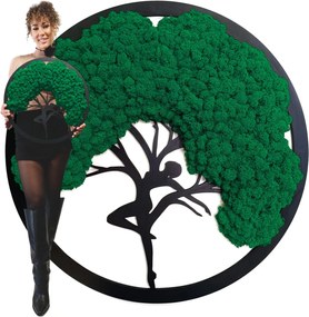 Vászonkép Moha Bonsai Fa Moha Fa Ajándék 50cm