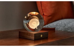 Sötétbarna szabályozható asztali lámpa üveg búrával (magasság 12 cm) Amber – Gingko