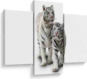 Kép - A fehér tigris (90x60 cm)