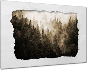 Festmények 120x80 Tájkép Szépia Hegyek Köd