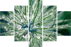 Kép - Makro kép egy virágról (150x105 cm)