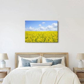 Egy sárga mező képe (90x60 cm)