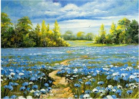 Kép - ösvény a mezőn, olajfestmény (70x50 cm)