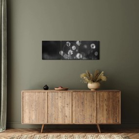 Kép - Pamutfű a réten (órával) (90x30 cm)